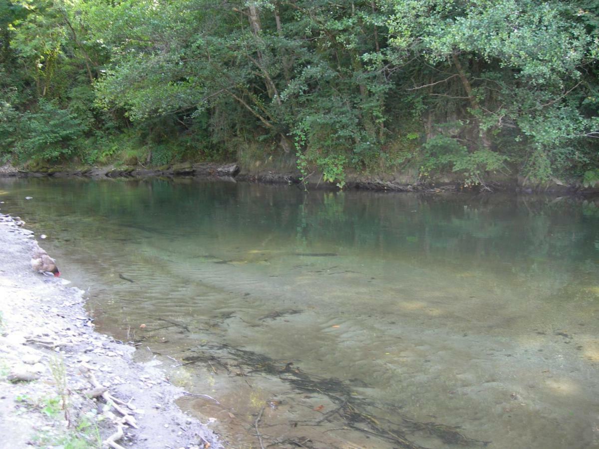 Appartement Les Rives De L'Ariege Luzenac Экстерьер фото