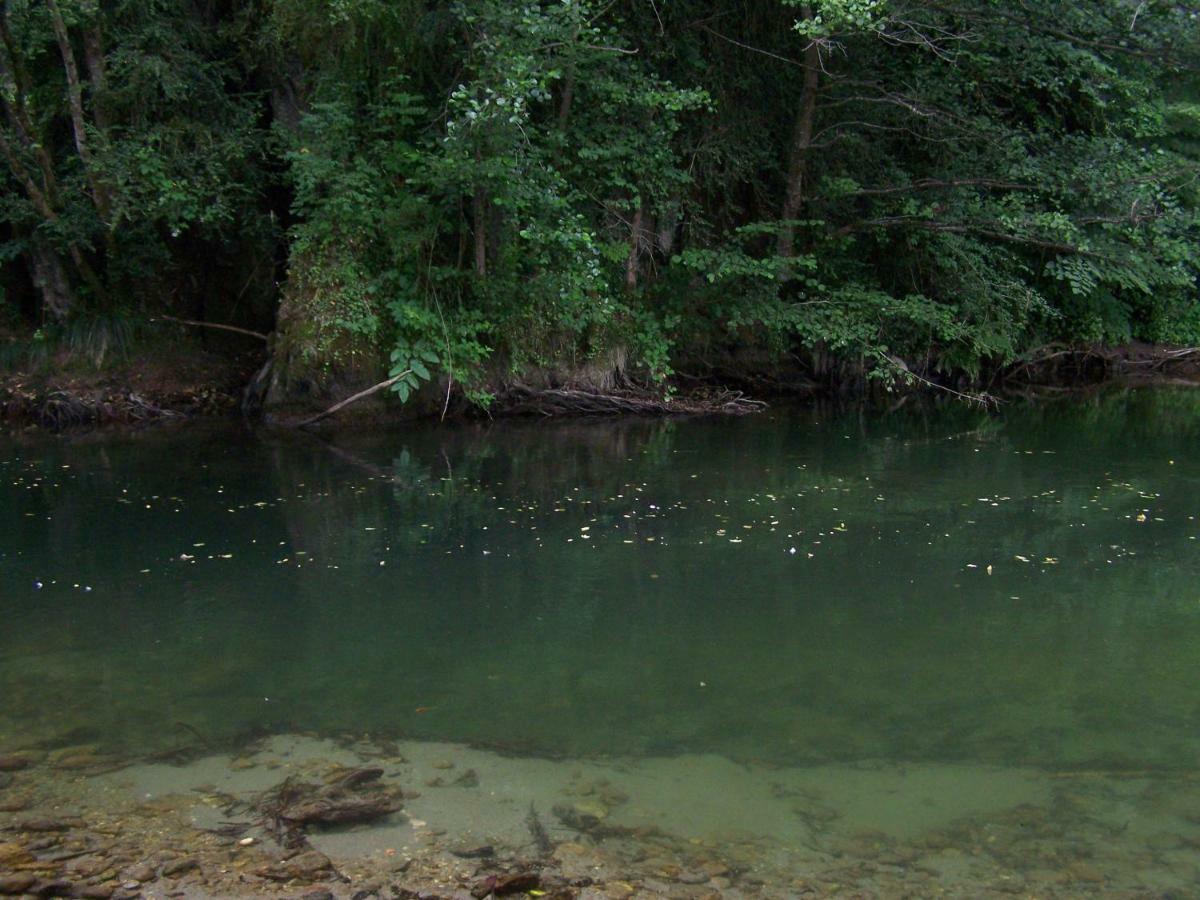 Appartement Les Rives De L'Ariege Luzenac Экстерьер фото